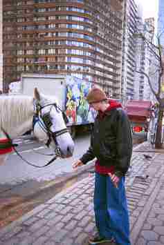 Carriage Ride