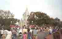 magic kingdom